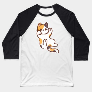 Calico cat Baseball T-Shirt